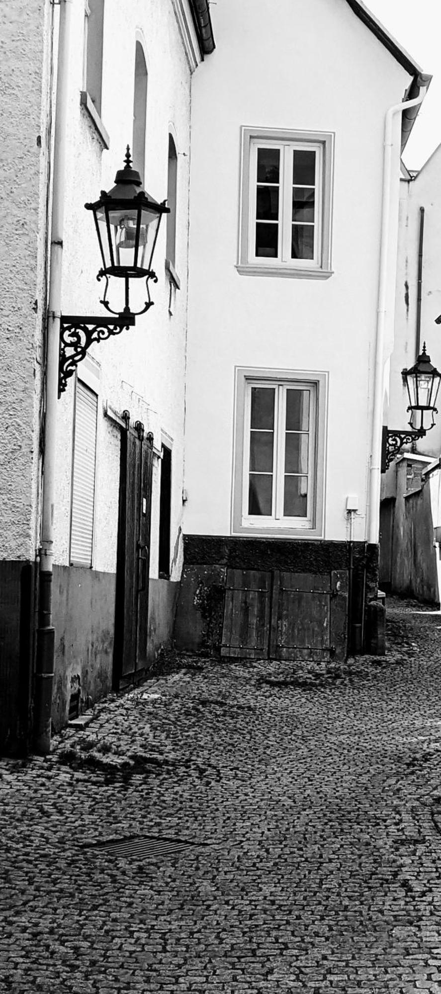 II Gemuetliches 1-Zimmer-Apartment & Eigenes Bad II Coblenza Esterno foto